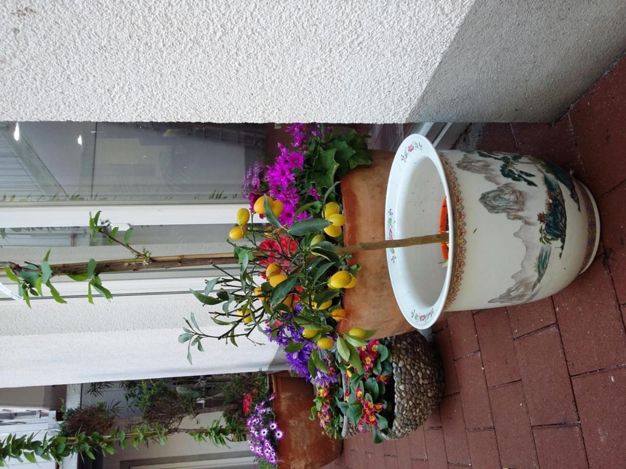 Hotel Goethe München